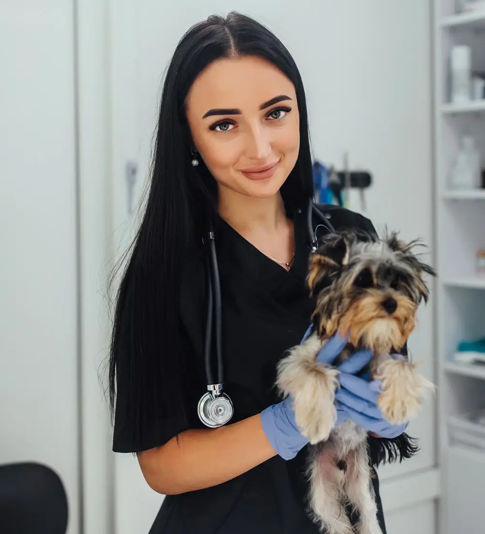 Petbook Vet Clinic Dubai Interior